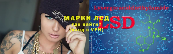 сатива Балахна