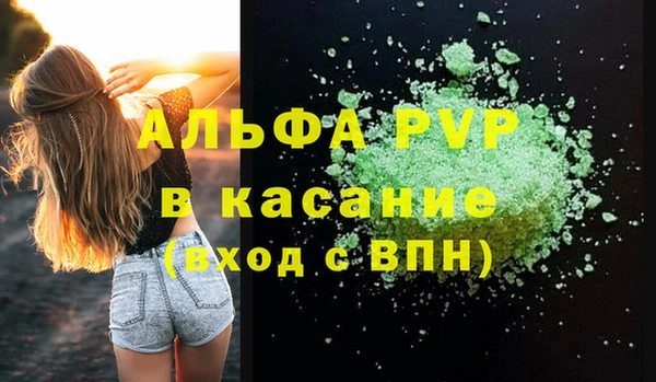 сатива Балахна